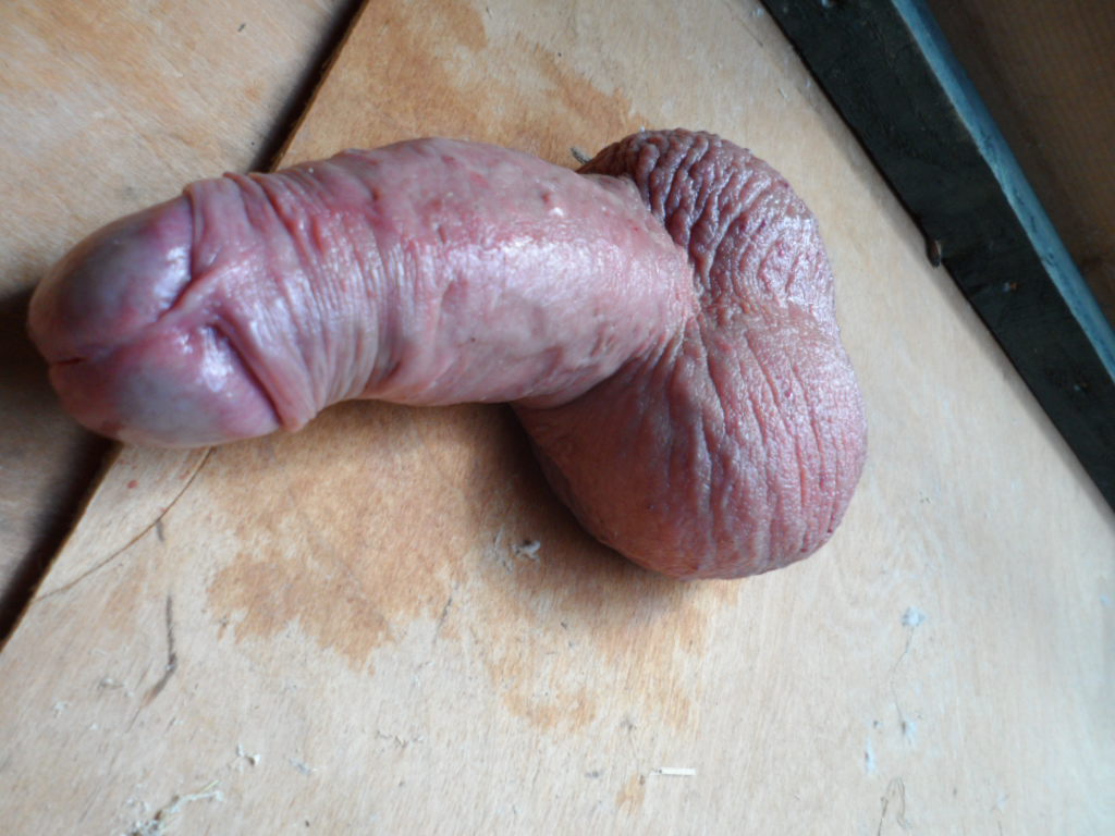 Roast Penis 85