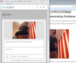 Freakden Pin It Details Page Example