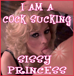 Are you a cock sucking sissy princess?