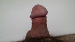My POV of my hard penis. Is it pathetic? Will I ever get laid?
