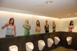 Bathrooms at SYTD Headquarters