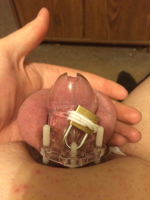 Small Penis Humiliation 4 Inches Of Clitty Cock Locked Freakden