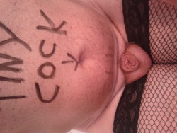 tiny cock