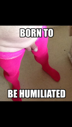 Sissy Dick Was Born to Be Humiliated