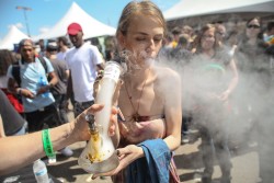 Denver Cannabis Cup: The Good Life