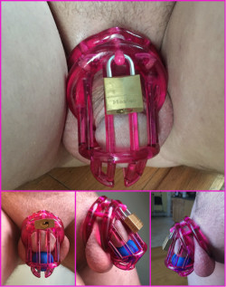 (Repin) A chastity cage I really want, with a clit inside like what I already have.