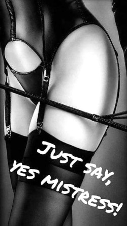 Just Say, Yes Mistress!