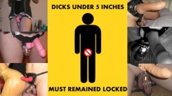 Sissy Dicks Under 5 Inches Must Remained Locked Up