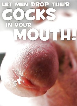 Let Men Drop Their Cocks in Your Sissy Mouth!