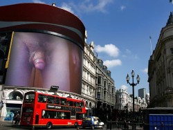 SYTD put my micro dick on a billboard!