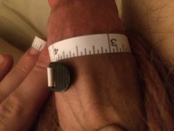 My fully hard cock. Measuring my girth. Opinions?