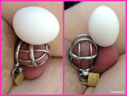 Chastised Dicklette Fails the Egg Dick Challenge