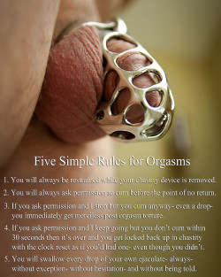 5 Rules for Sissy Chastity Slave Orgasms