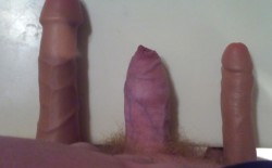 dildo compare