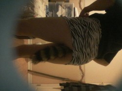 Love wearing my tail