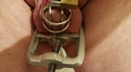 Chastised Grape Dick Gets Nuts Put in a Vise