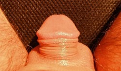 My Tiny Penis