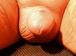 My Tiny Penis 2