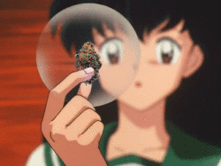 Mesmerized by Marijuana {GIF}