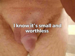 Small Worthless Dick Caption
