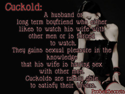 Cuckold: Husband or BF That Likes Watching Wife with Other Men