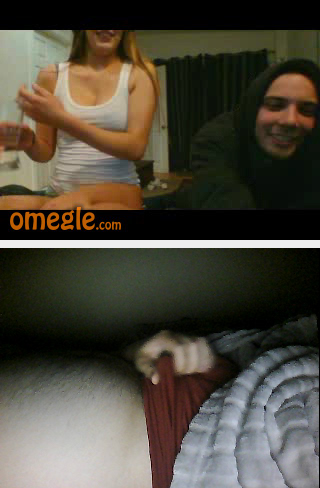 Dick omegle 200 suspected