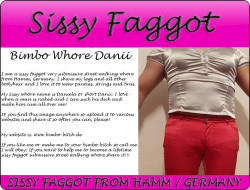 Sissy Faggot