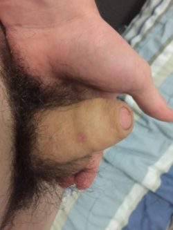Pubes almost bigger than my cock