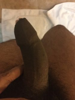 Fresh showered genuine Slave Dick