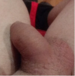 Send me what you think of my dick