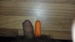 Piggy dick tries baby carrot challenge