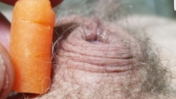 Inverted micro penis doing the baby carrot challenge with half a carrot