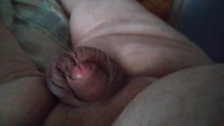 My small cock, comment, reblog for those of you that enjoy them