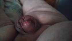 My small cock, comment, reblog for those of you that enjoy them