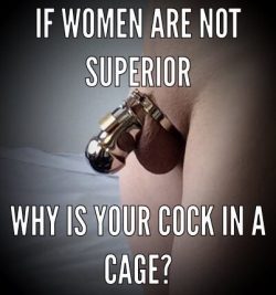 Women aren’t superior? Why is your cock in a cage again?