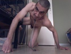 Pet slave faggot