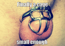 Finally a cage small enough for a clit size cocklette!
