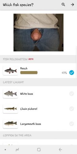 I have an app on my phone for fishing. It has a fish species…