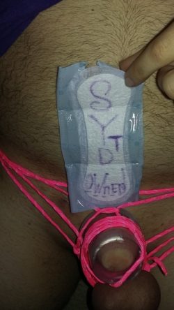 Bound and stuffed in my jello cup chastity
