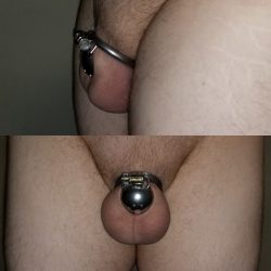 Wife Busted the Bitch and Chastised His Clit