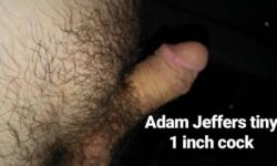 Adam Jeffers