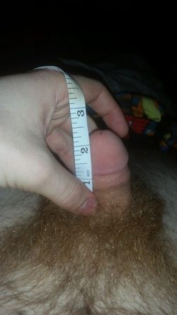 Almost 2.5 inches of Dicklette