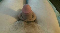 My three inch penis. Give me your honest opinion!