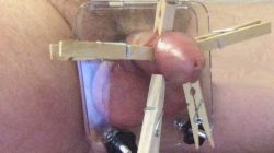 CBT Humiliation for Tiny Dick