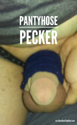 Pantyhose Pecker