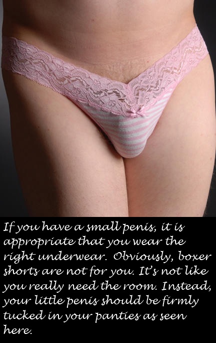 (Repin) Facts! My microclitty absolutely belongs in panties. No male underwear ever!