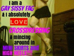 Gay Sissy Fag Crossdresser Caption