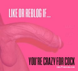Sissy crazed for cock