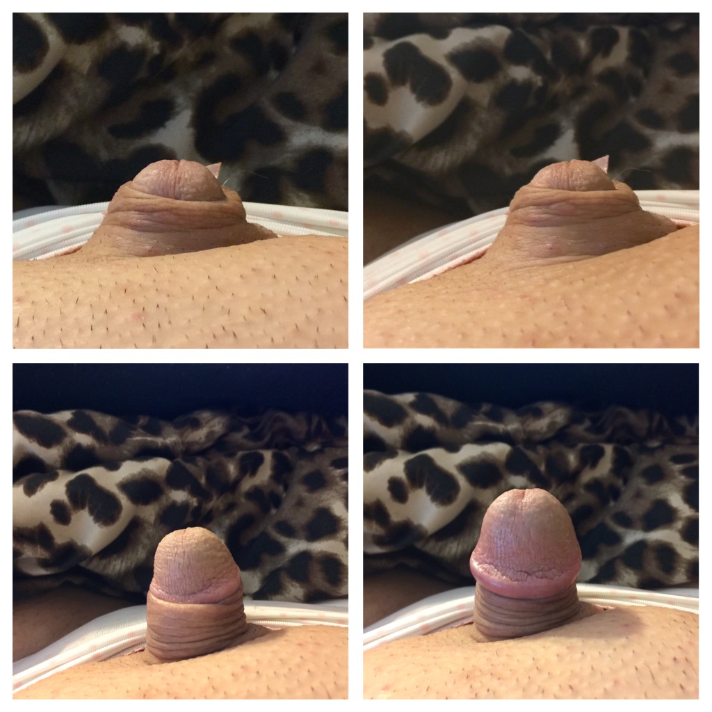 Sissy Soft Dick Anal Dream House image