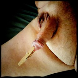 Sunday morning cock torture 1